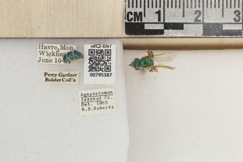Media type: image;   Entomology 795387 Aspect: Labels